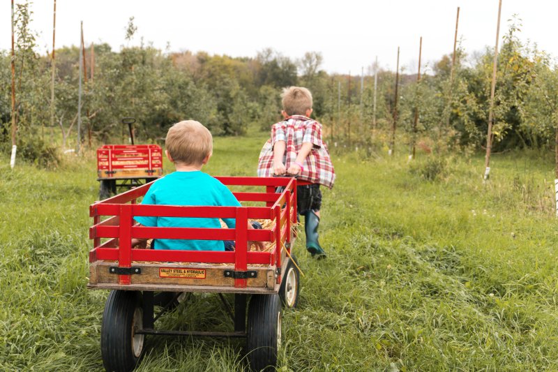 Kinder spielen mit Bollerwagen