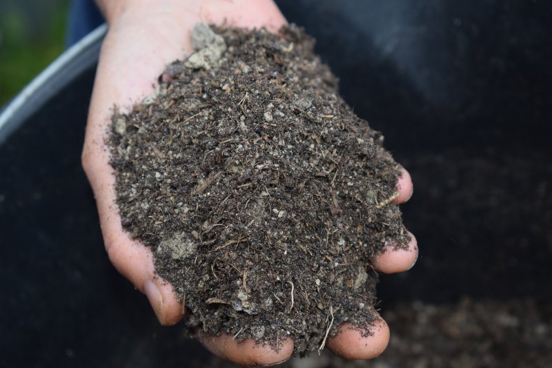 Eine Hand trägt feinkörniges Rindenmulch