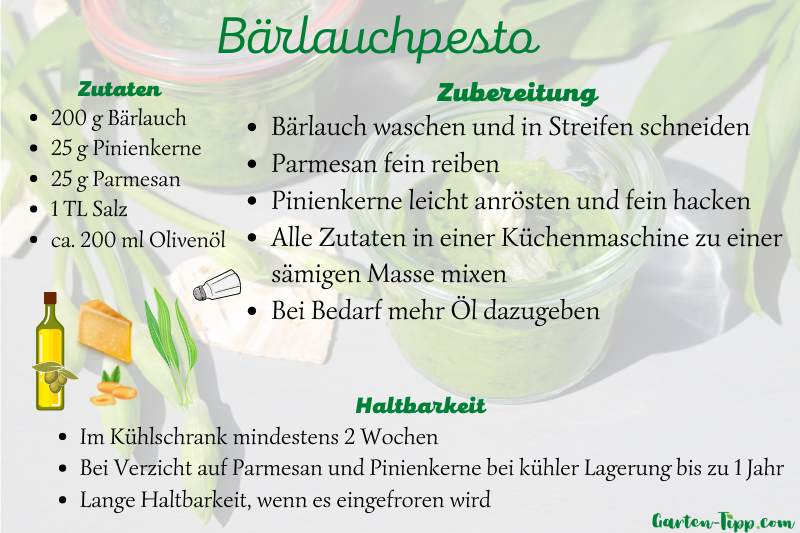 Eine Infografik, wie Bärlauchpesto hergestsellt wird