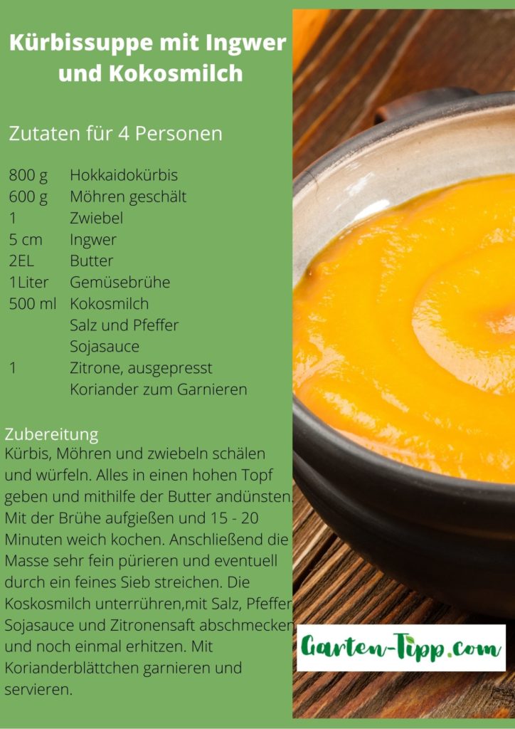 Kürbissuppe mit Ingwer und Kokosmilch