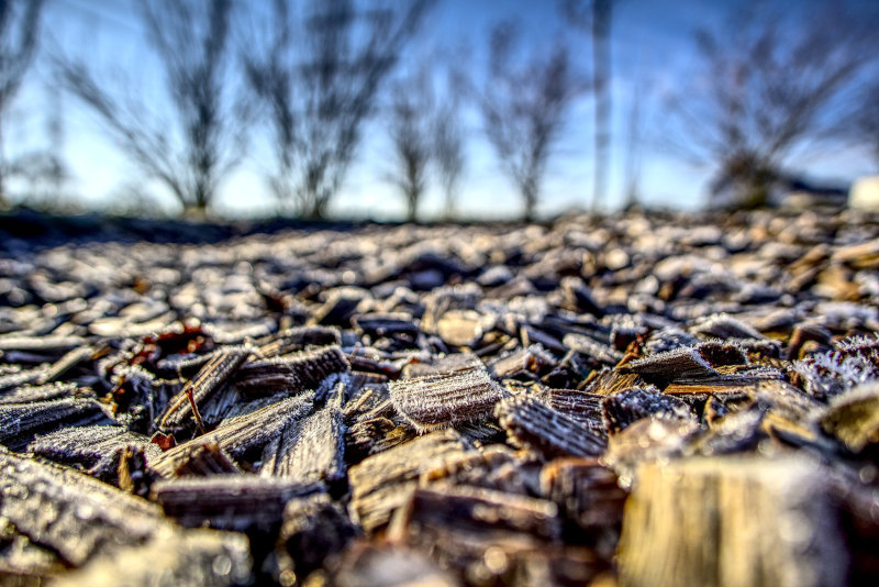 Rindenmulch schützt vor Frost