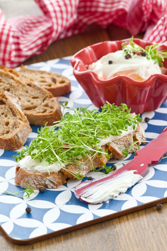 bestrichenes Brot mit Gartenkresse