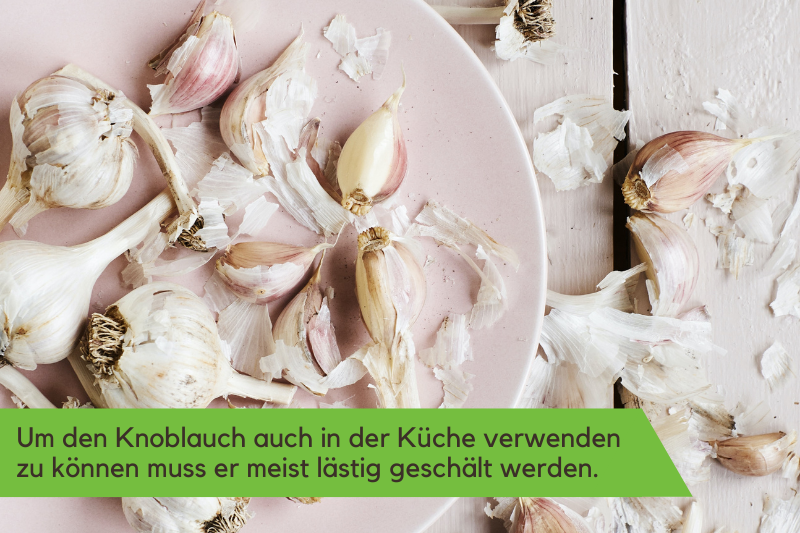 Um nun den Knoblauch auch in der Küche verwenden zu können muss er meist lästig geschält werden.