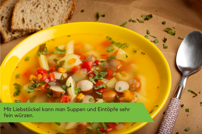 Mit Liebstöckel Suppe und Eintöpfe fein würzen