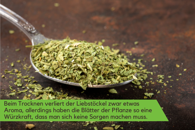 Getrockneter Liebstöckel als Gewürz