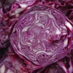 Rotkohl aufgeschnitten