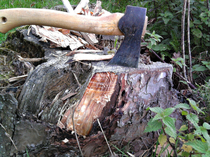 Ein Beil steckt im Baumstumpf