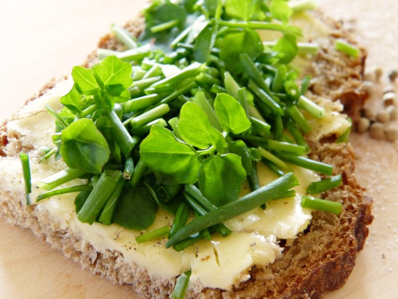 Brunnenkresse als Gewürz auf dem Brot