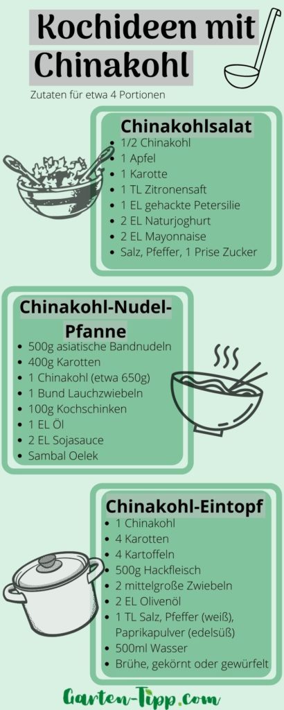 Kochideen mit Chinakohl Zutaten